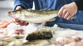 Recomendaciones para el consumo de pescado en Semana Santa