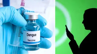 Estafa por WhatsApp: Ofrecen falsos turnos de vacunación contra el dengue