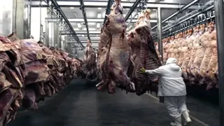 El consumo de carne vacuna bajó al mínimo histórico: "La gente está consumiendo más pollo y cerdo"