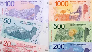 El peso argentino es la moneda que más se apreció en el mundo este año, según Bloomberg. 