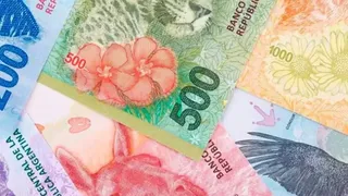 El Gobierno aumentó el Salario Mínimo a $ 234.315,12 desde mayo
