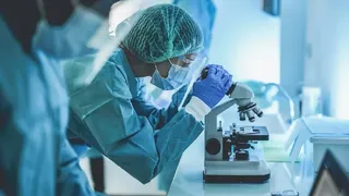 Lucha contra la ELA: Científicos canadienses desarrollan un tratamiento clave para su cura