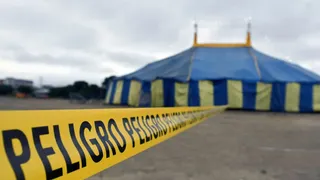 Sicarios asesinan a un diputado ecuatoriano y su esposa durante una función de circo